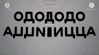 додо пицца 2020 заставка in field day major