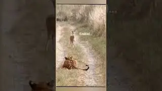 Wait for it 🤣🤣🤣