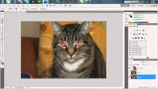 Photoshop | Devil Cat