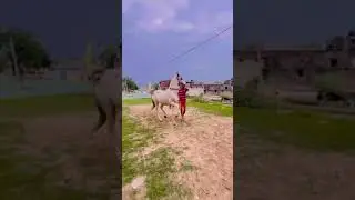સરપંચ2 ભૂરા ઉસ્તાદ 76986 80944