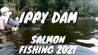 Tippy Dam Salmon Fishing 2021