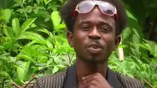 Adesco DJ - Tou Odouko | Maitre Gims des Abbey - Dabonin (Musique traditionnelle ivoirienne)