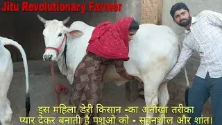 3.5 साल में इन युवा-महिला किसान ने किये 5 से 50 जानवर -बिना LOAN के, बिना किसी आर्थिक मदद के।