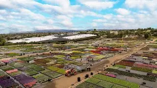 Premier Color Nursery Views