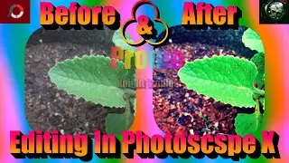 combination of photos before and after editing on PhotoScape X promo