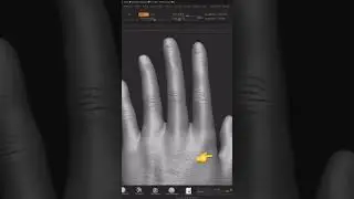 Hand sculpt 