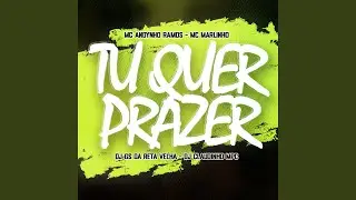 Tu Quer Prazer