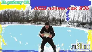 ЛЯЩ почти как ЯЗЬ ))))))))))))))- или Лещ на балансир