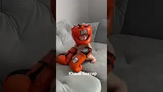 11 апреля 2023 г.
