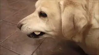 Вроде оживает!!!