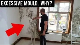 DAMP WALL REPAIRS WARWICKSHIRE SO MUCH MOULD. WHY?