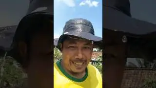 Tutorial bikin adem kepala