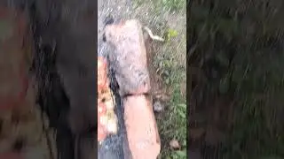 шашлык