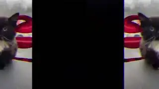 чмоня