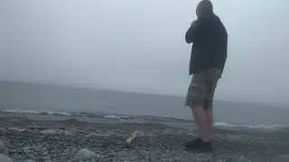 calling a Beluga whale with a harmonica. Both sides now.