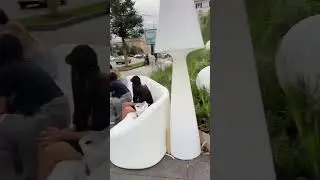 Злаковые растения 🌱