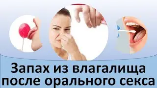 Запах из влагалища после орального секса