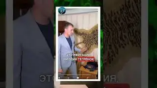 🐅Шкура тигра на стіні в квартирі "ДНР"