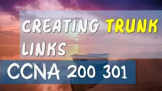 Trunk link between switches