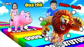 Đua động vật xem con nào chạy nhanh nhất! bqThanh Có Siêu Tốc Độ Cho Ốc Hít Khói
