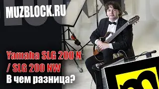 Yamaha SLG 200 N и SLG 200 NW - сравнение сайлент гитар