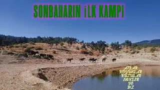 OUR FIRST CAMPING VIDEO IN AUTUMN