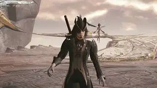 New Job: "The Chevalier Noir" | MOBIUS FINAL FANTASY