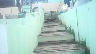 ОББИ В реальной жизни