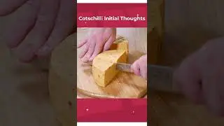 Cotschilli Initial Thoughts