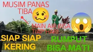 siap-siap berubah warna!!! musim panas tiba nyiram rumput semakin ektra #yt #ytshorts #youtube