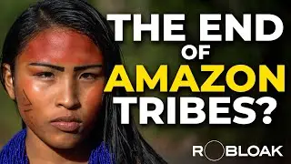 The Amazon's Indigenous Crisis: Deforestation, Disease, and Displacement