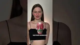 Твои ГУБЫ на самом деле БОЛЬШЕ❤️Арт.на WB: 140135455 натуральное масло для массажа лица 