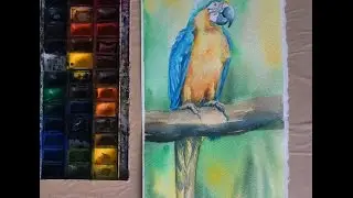 Рисуем акварелью попугая