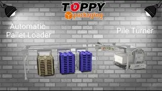 APL- Automatic Pallet Loader (WITH MASTER TOPPY)