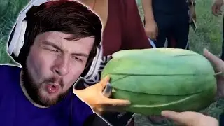 Reacting To Satisfying Videos | Reddit