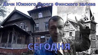 Южный берег Финского залива. Дачи Бенуа, Грубе и Крона. Состояние на 12.09.2024 г. Что будет дальше?