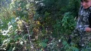 Рыбалка на лесном ручье с сыном, август 2022. В поисках хариуса.