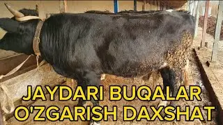 O'ZGARISH DAXSHAT,,,,,,