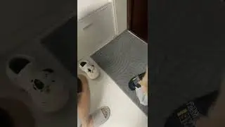 Не царское это дело мышей ловить!