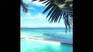 [FREE] playboi carti x pierre bourne type beat - 