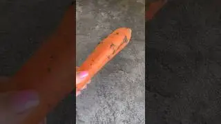 Как правильно мыть овощи 