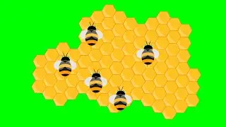 Bee - Bees - Honeycomb - Motions green screen effects - chroma key - animations - Effects - Video HD