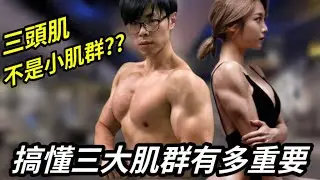 三頭肌不是小肌群?關於大小肌群的區分！搞懂三大肌群有多重要？ #健身 #重訓 #增肌