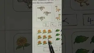 Count & Write Number of Sunflower