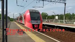 Пушкинская Ласточка ЭС2Г-123