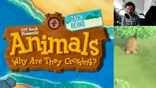 “Animals, Why Are They Crossing?” - Off Book The Improvised Musical 