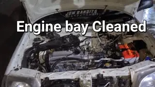Cultus Engine bay detailed || Project kooza Update  ||  Back to stock life ..