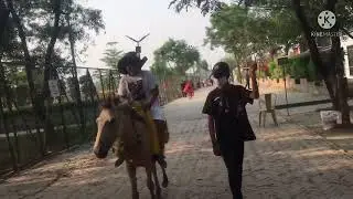 Our journey to chief’s table courtside resort