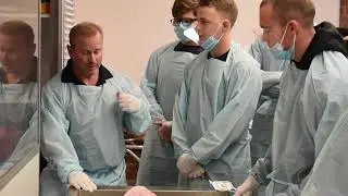 Intro to Syndaver Day!