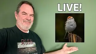 Photography Chat LIVE!